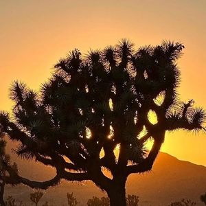 Image post by @nationalparkscollective on Instagram