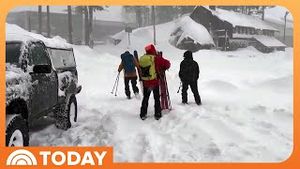 Video post by @today on YouTube