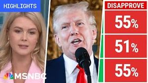 Video post by @msnbc on YouTube