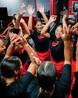 Image post by @csunsoftball on Instagram