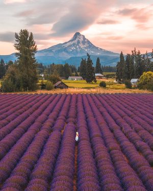 Image post by @gracefkim on Instagram