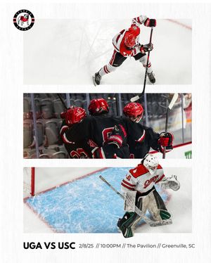 Image post by @ugahockeyd3 on Instagram