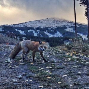 Image post by @breckenridgemtn on Instagram
