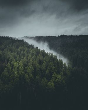 Image post by @kszczuka on Instagram