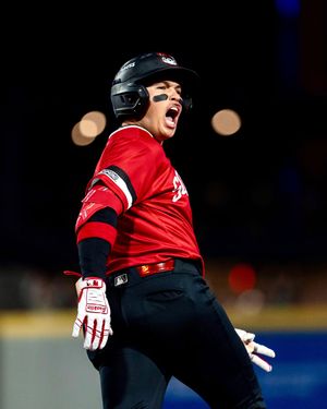 Image post by @gosquirrels on Instagram