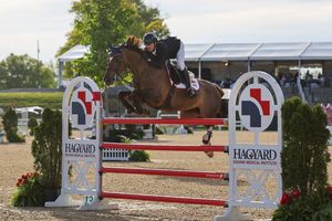 Image post by @kyhorseshows on Instagram