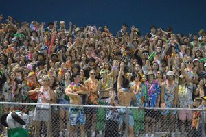 Image post by @laubhan.visuals on Instagram