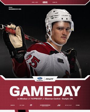 Image post by @guelph_storm_ohl on Instagram