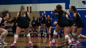 Image post by @juliacopasmedia on Instagram