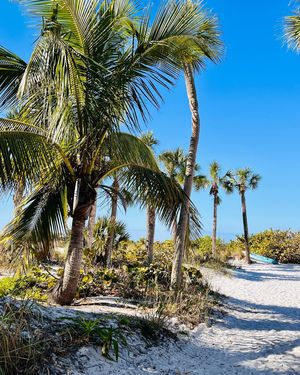 Image post by @visitsarasotacounty on Instagram