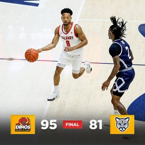 Image post by @dinosmbb on Instagram