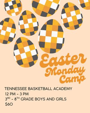 Image post by @tnbasketballacademy on Instagram