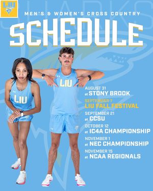 Image post by @liuxctf on Instagram