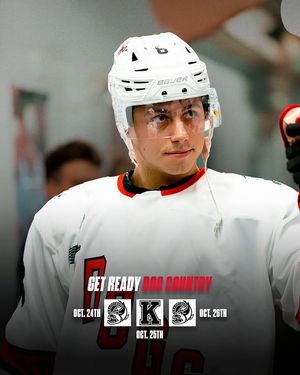 Image post by @ohlicedogs on Instagram
