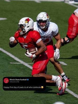 Image post by @isuredbirdfb on Instagram