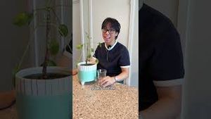 Video post by @turbotaxcanada on YouTube