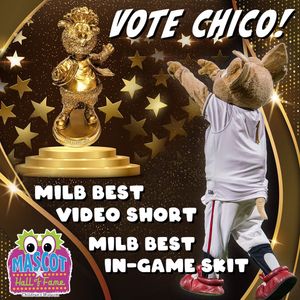 Image post by @chico_epchihuahuas on Instagram