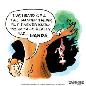 Image post by @wingfeathersaga on Instagram