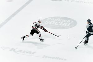 Image post by @ohlicedogs on Instagram