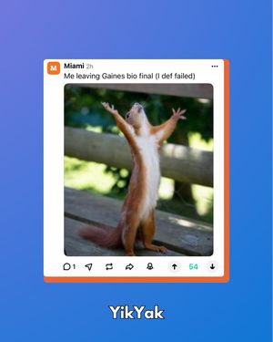Image post by @yikyakapp on Instagram