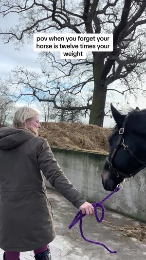 Video post by @millicentstennett on TikTok