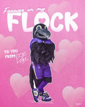 Image post by @ravens on Instagram