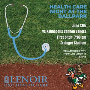Image post by @GoWoodDucks on Twitter