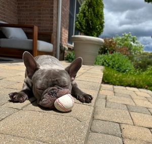 Image post by @HunterGreene17 on Twitter