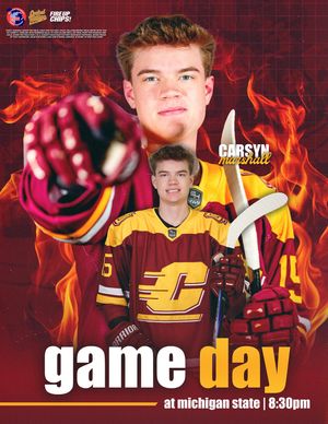 Image post by @cmuhockeyd3 on Instagram