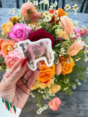 Image post by @pinkstork on Instagram