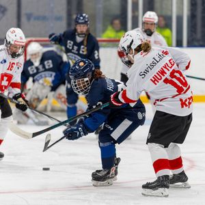Image post by @leijonatfi on Instagram