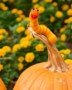 Image post by @sesamestreet on Instagram