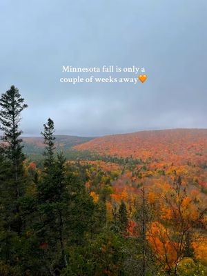 Video post by @kayla.mpls on TikTok