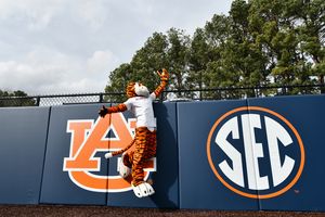 Image post by @aubiethetiger01 on Instagram