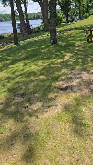 Video post by @Ruttgers on Facebook