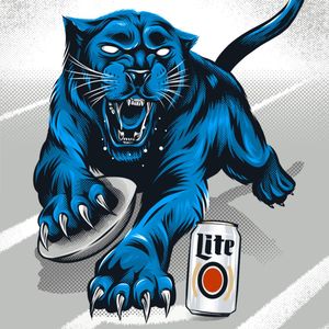 Image post by @panthers on Instagram