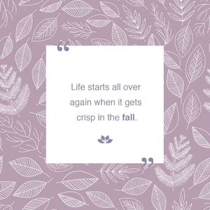 Image post by @dermae on Instagram