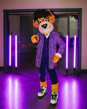 Image post by @nordywild on Instagram