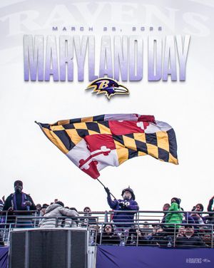 Image post by @ravens on Instagram
