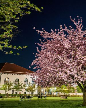 Image post by @montclairstateu on Instagram