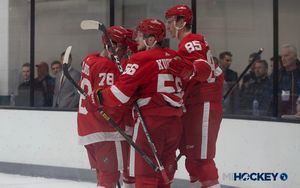 Image post by @mihockeynow on Instagram