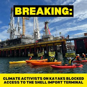 Image post by @greenpeace on Instagram