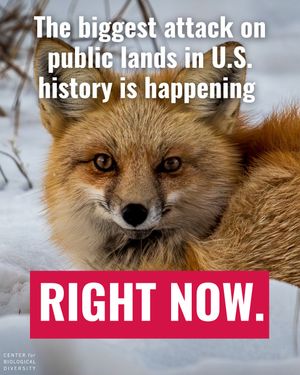 Image post by @centerforbiodiv on Instagram