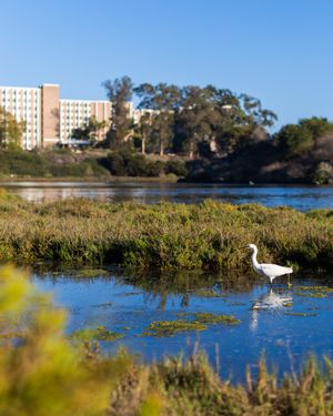 Image post by @ucsantabarbara on Instagram