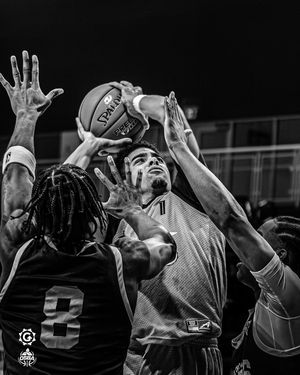 Image post by @ontariosba on Instagram