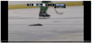 Image post by @FL_Everblades on Twitter