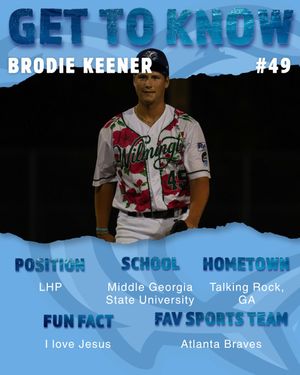 Image post by @ilmsharks on Instagram