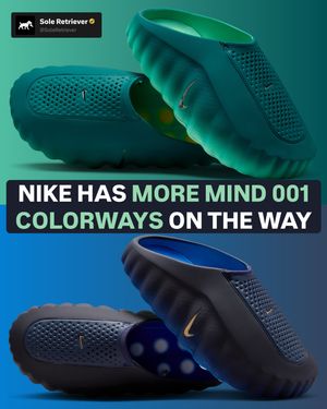 Image post by @soleretriever on Instagram
