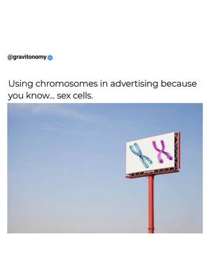 Image post by @gravitonomy on Instagram
