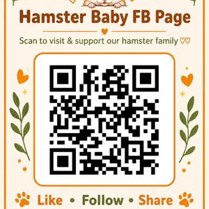 Image post by @hamsterbaby05 on Instagram